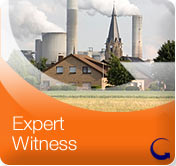 Expert Witness